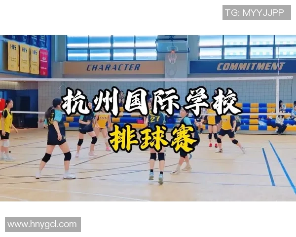 杭州排球队的速度之美：探索排球运动的激情与魅力